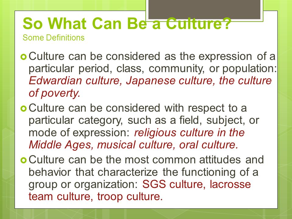 So What Can Be a Culture Some Definitions