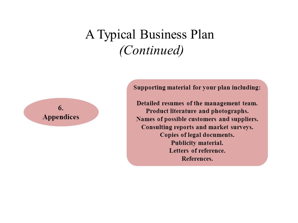 A Typical Business Plan (Continued)