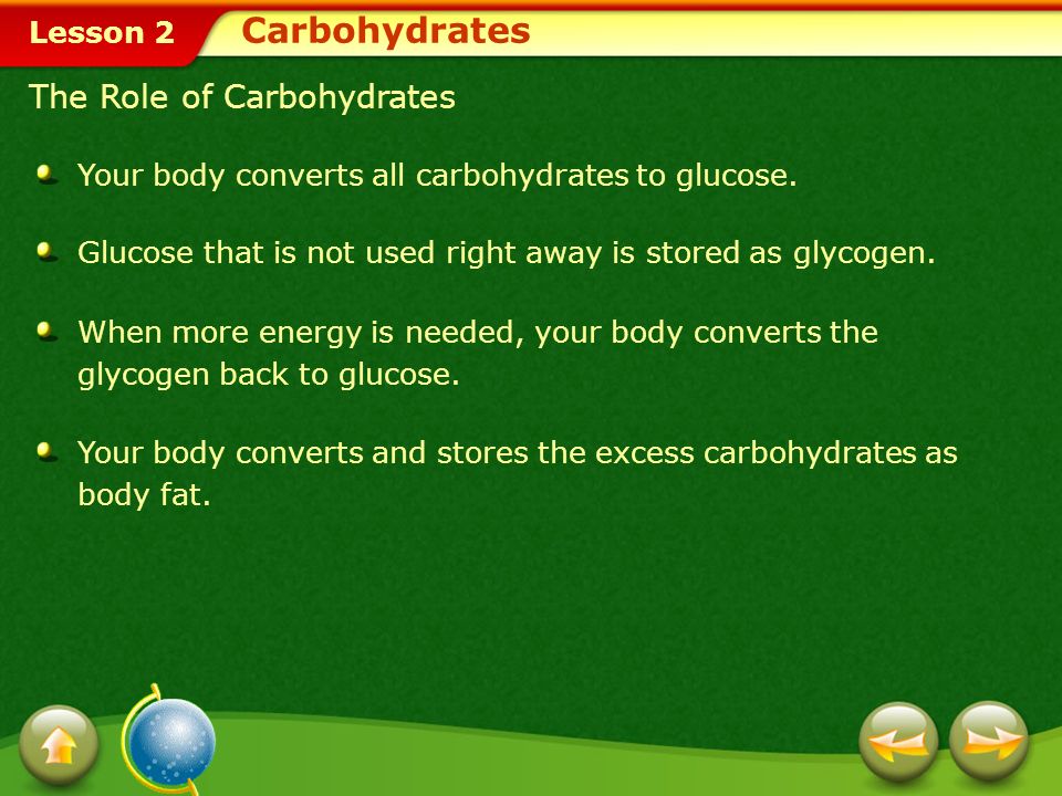 Carbohydrates The Role of Carbohydrates