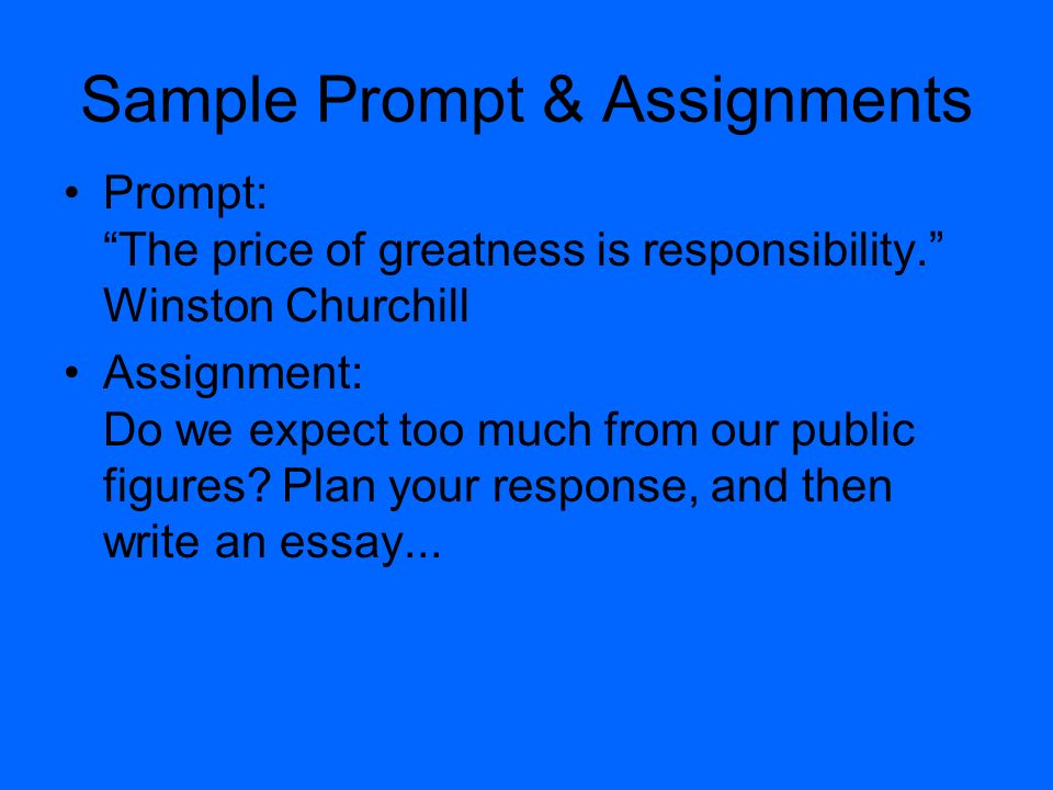 Sample Prompt & Assignments