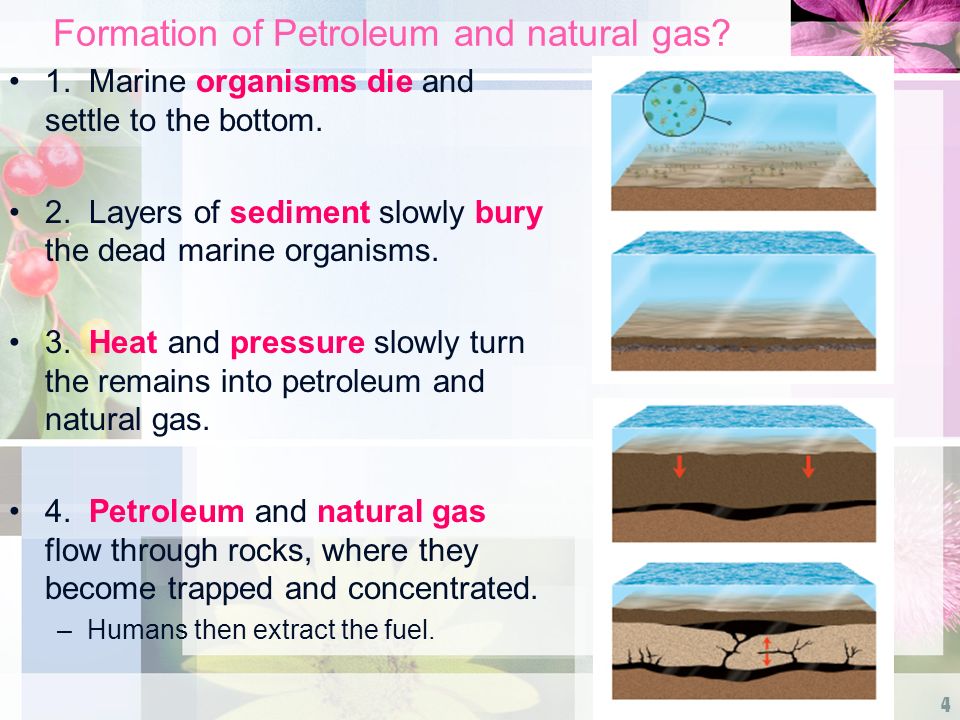Formation of Petroleum and natural gas