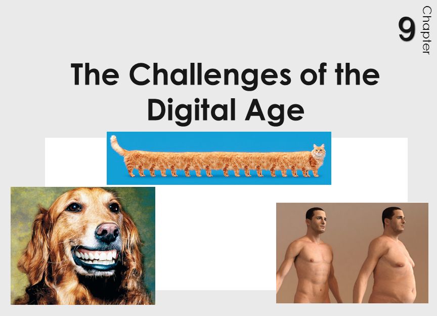 The Challenges of the Digital Age