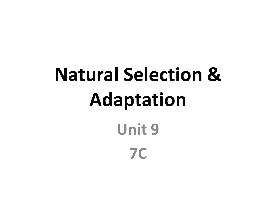 Natural Selection & Adaptation