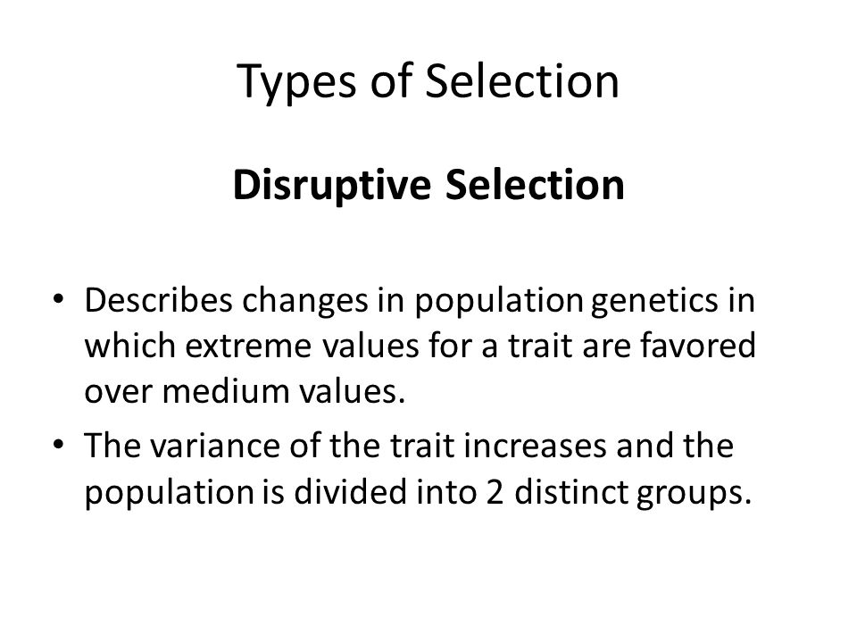 Types of Selection Disruptive Selection