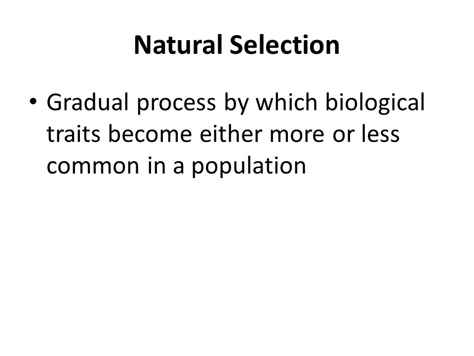 Natural Selection Gradual process by which biological traits become either more or less common in a population.