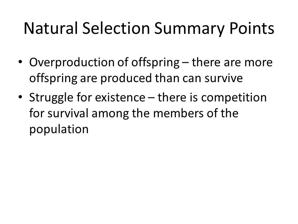 Natural Selection Summary Points