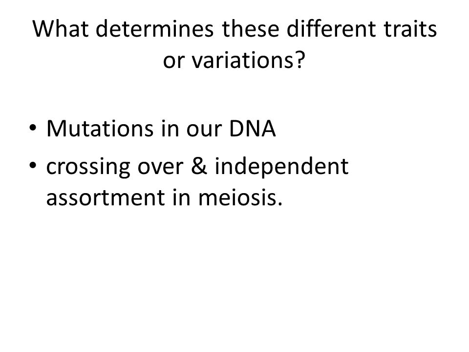 What determines these different traits or variations