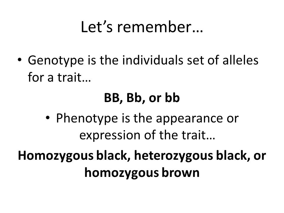 Homozygous black, heterozygous black, or homozygous brown