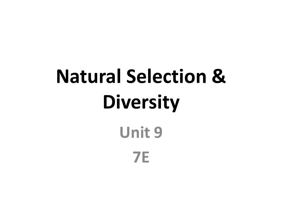 Natural Selection & Diversity