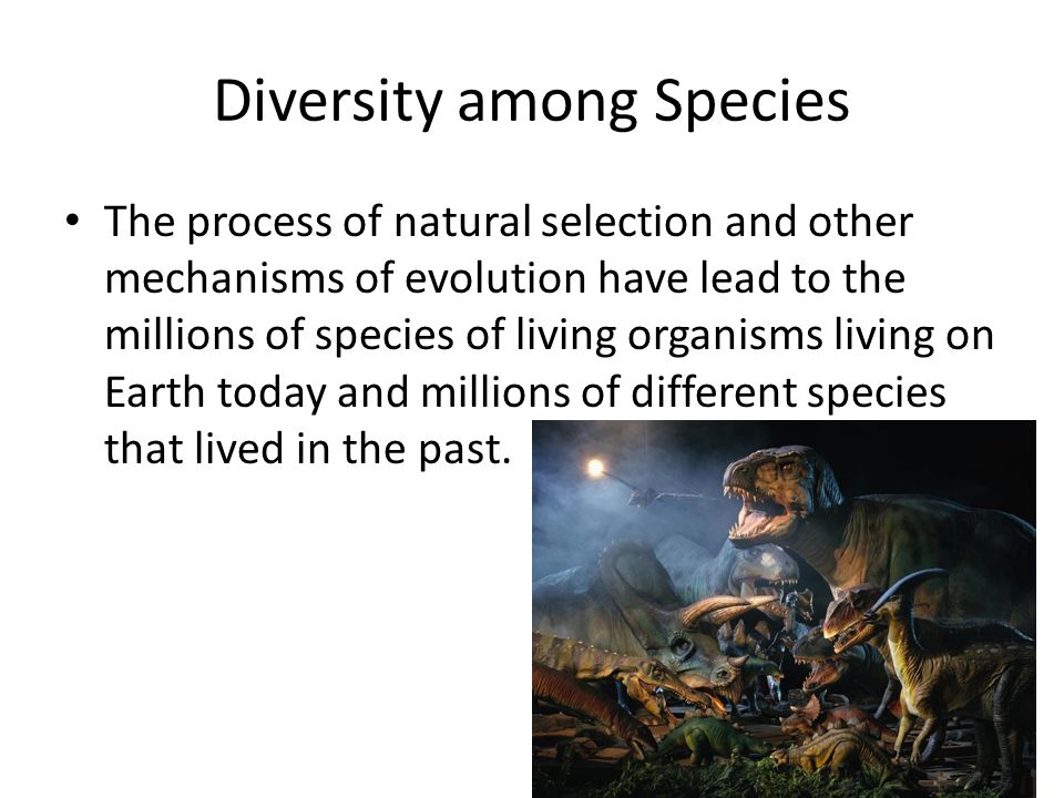 Diversity among Species