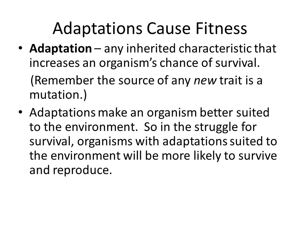 Adaptations Cause Fitness