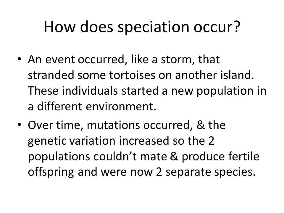 How does speciation occur