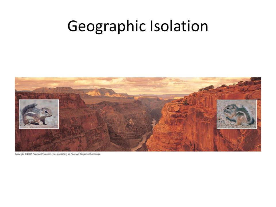 Geographic Isolation