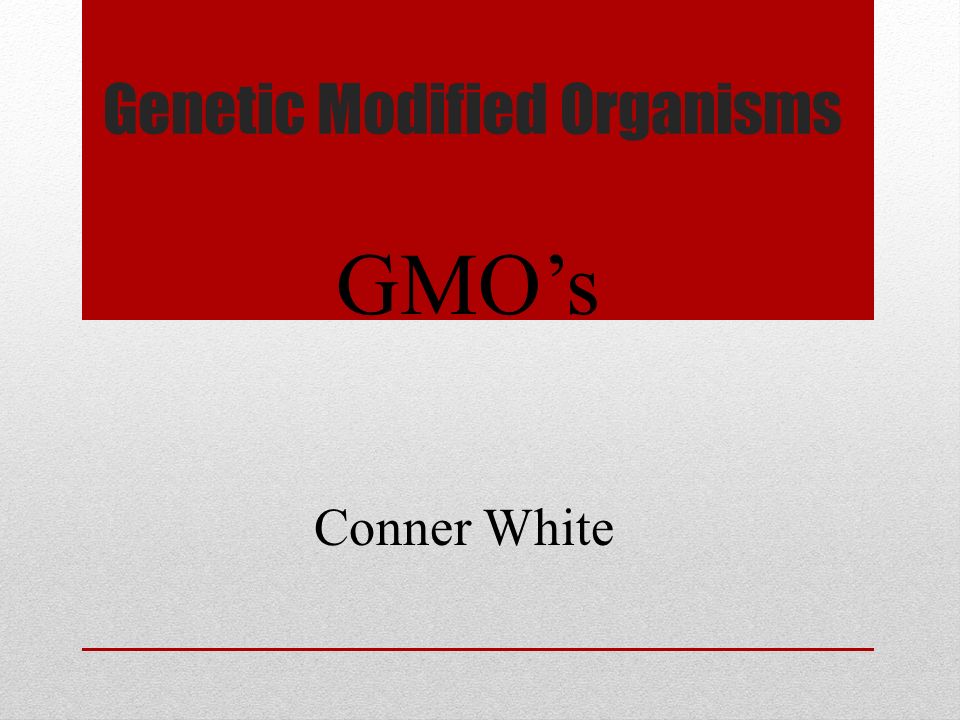 Genetic Modified Organisms