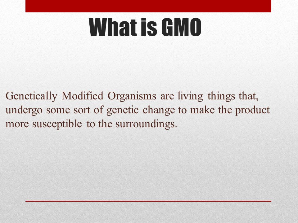 What is GMO