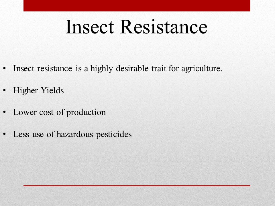 Insect Resistance Insect resistance is a highly desirable trait for agriculture. Higher Yields. Lower cost of production.