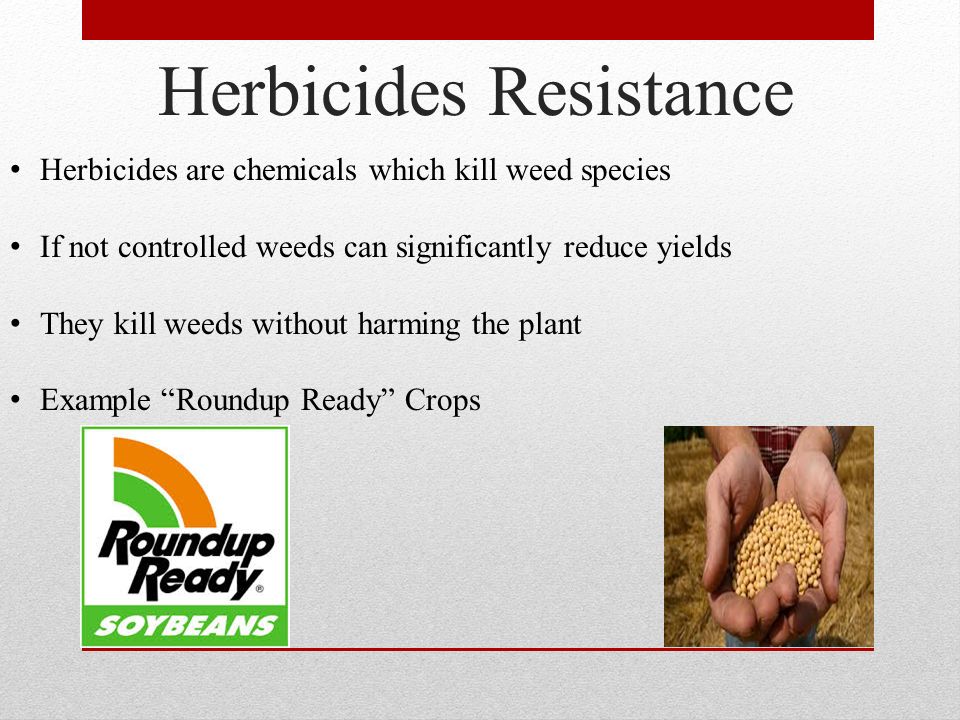 Herbicides Resistance