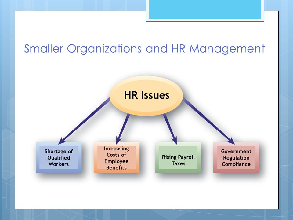 Smaller Organizations and HR Management