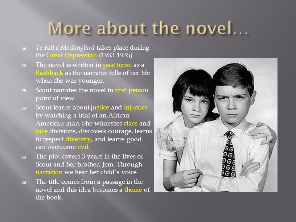 More about the novel… To Kill a Mockingbird takes place during the Great Depression ( ).