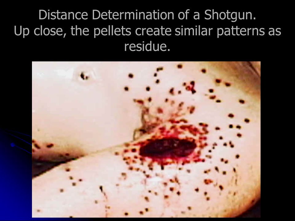 Distance Determination of a Shotgun.
