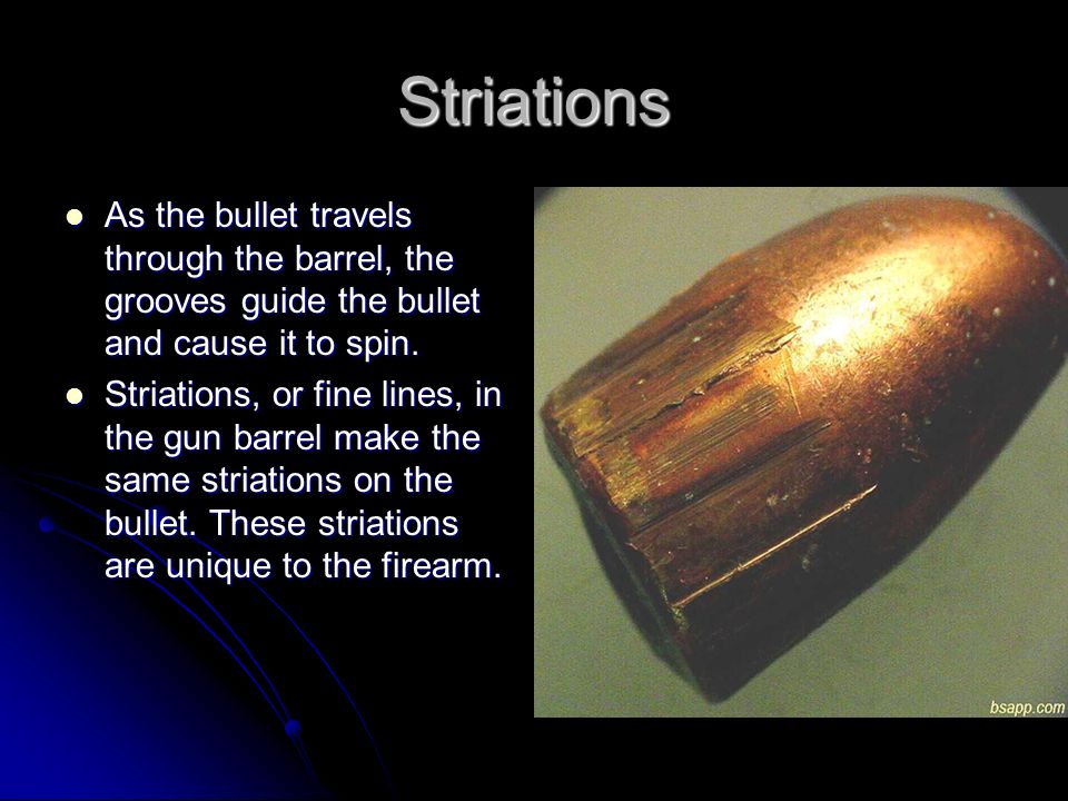 Striations As the bullet travels through the barrel, the grooves guide the bullet and cause it to spin.