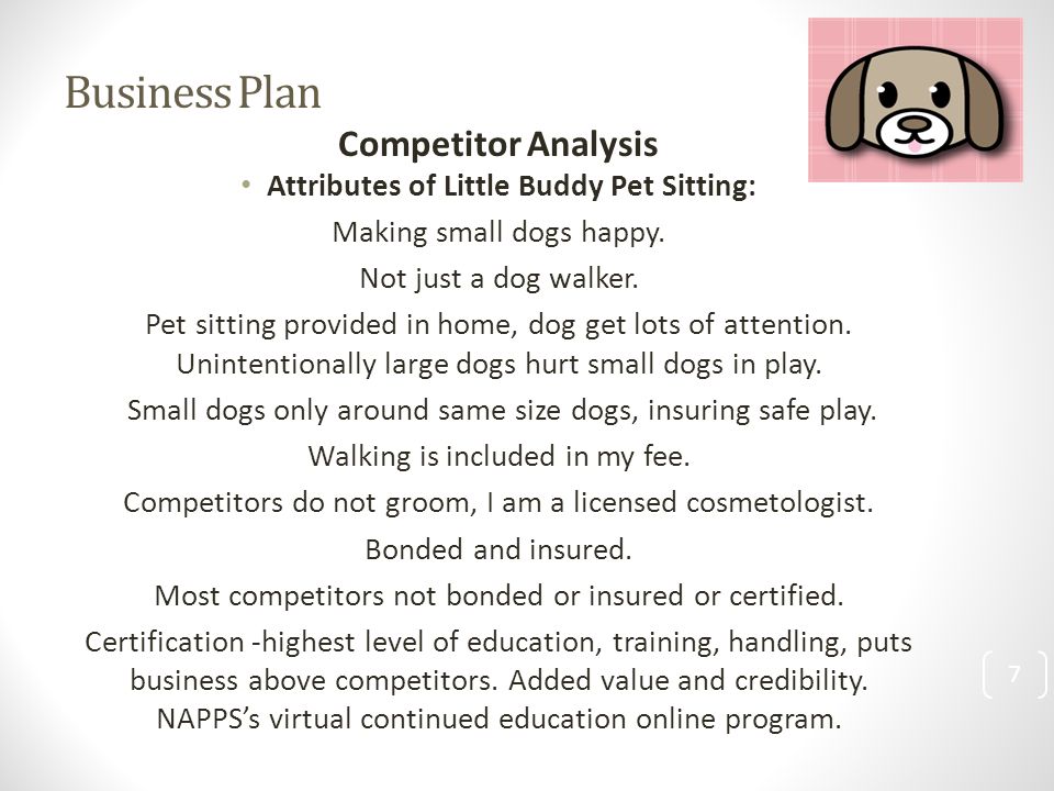 Business Plan Competitor Analysis