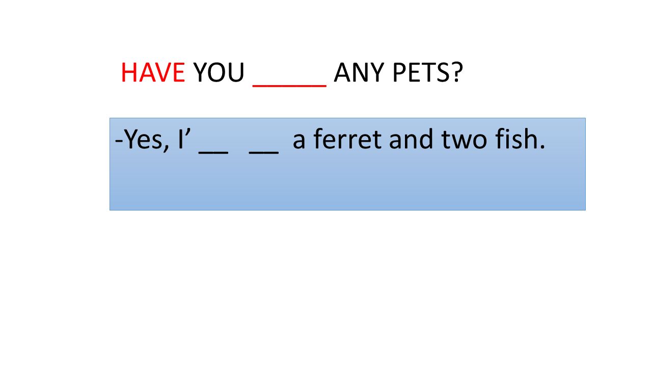 HAVE YOU _____ ANY PETS Yes, I’ __ __ a ferret and two fish.