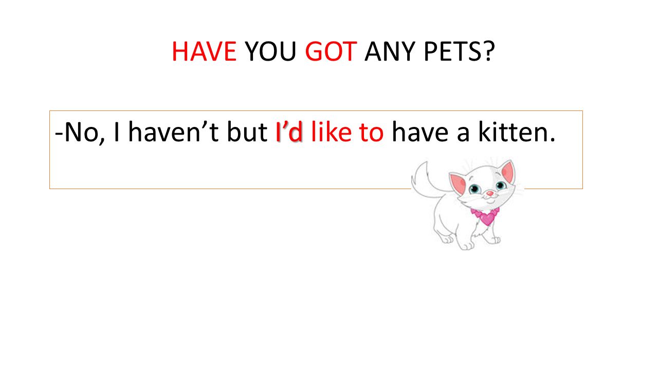 HAVE YOU GOT ANY PETS -No, I haven’t but I’d like to have a kitten.