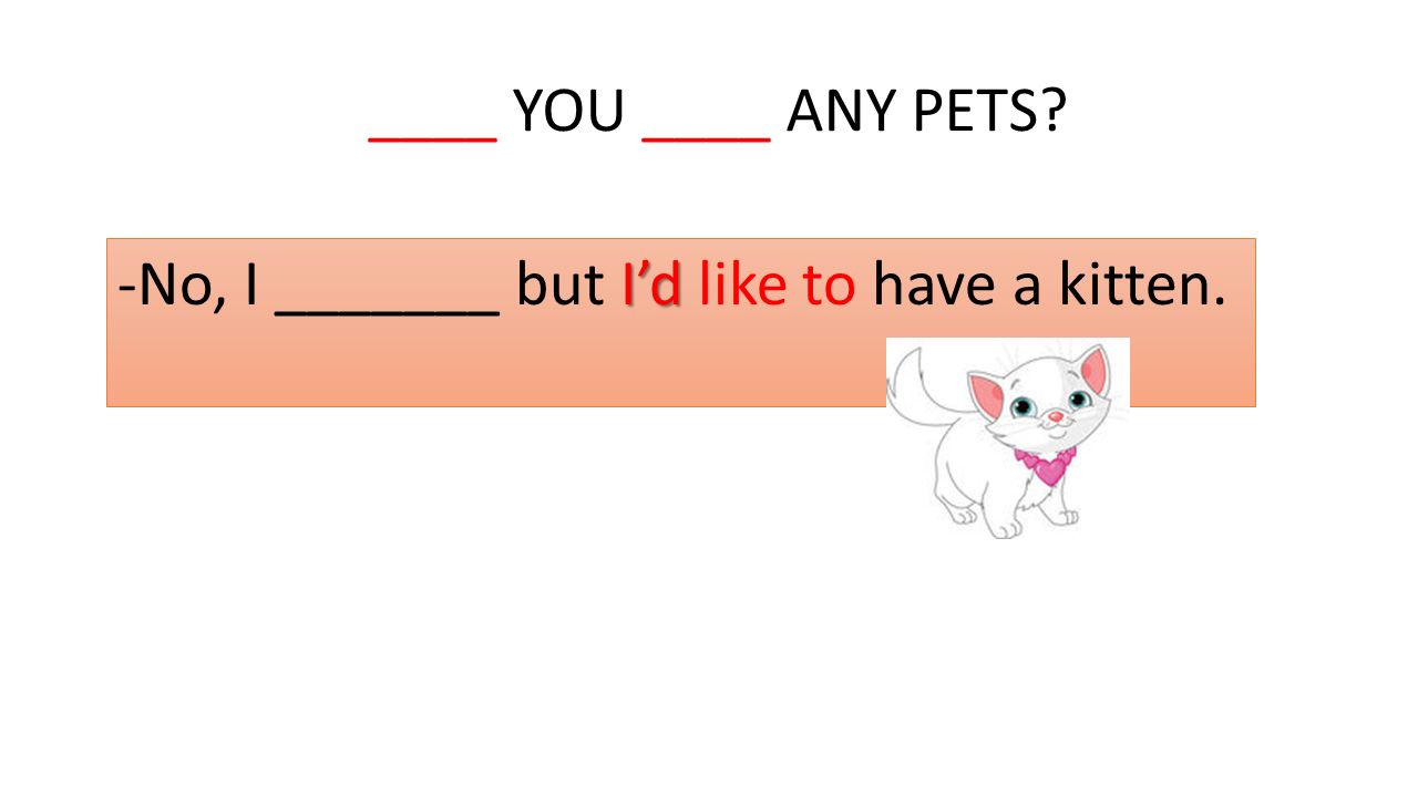 ____ YOU ____ ANY PETS -No, I _______ but I’d like to have a kitten.