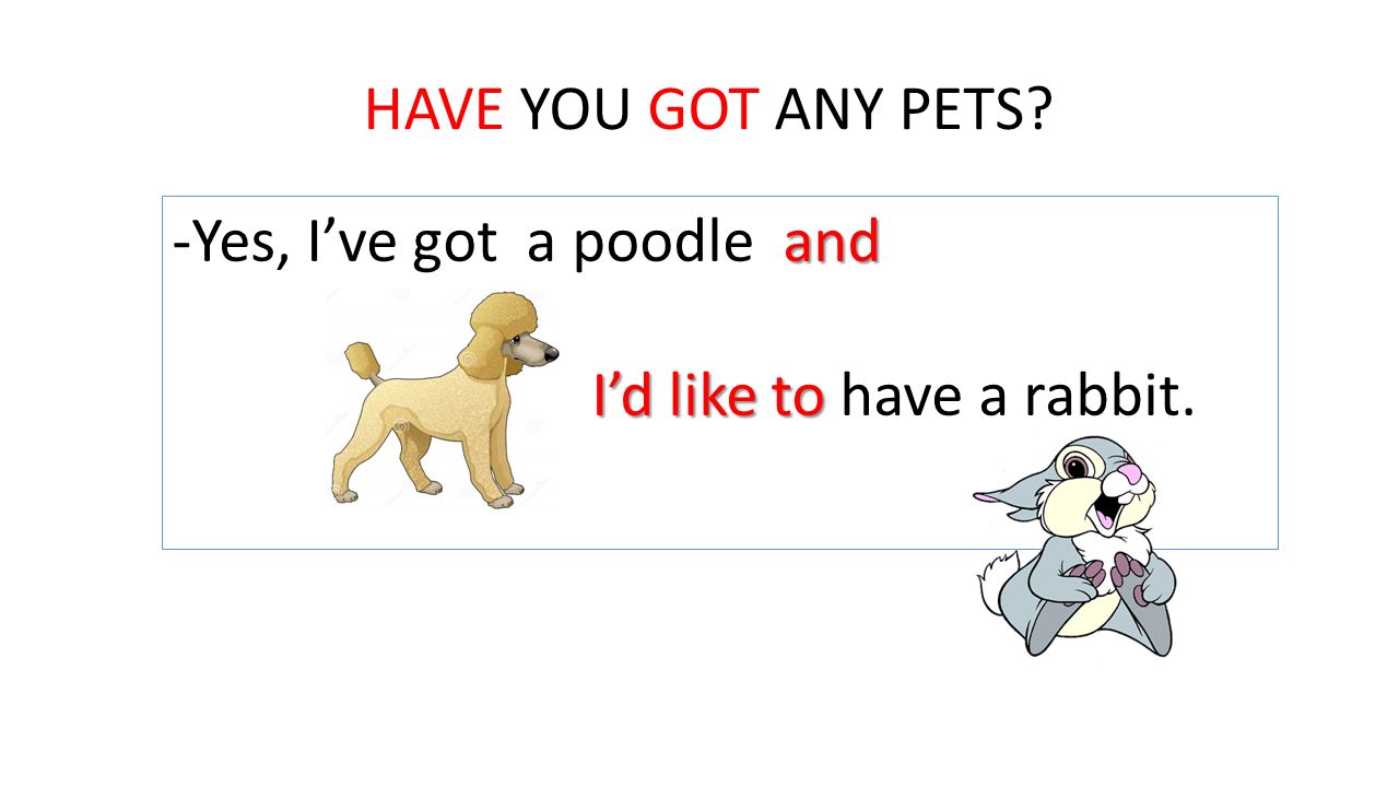 HAVE YOU GOT ANY PETS Yes, I’ve got a poodle and I’d like to have a rabbit.