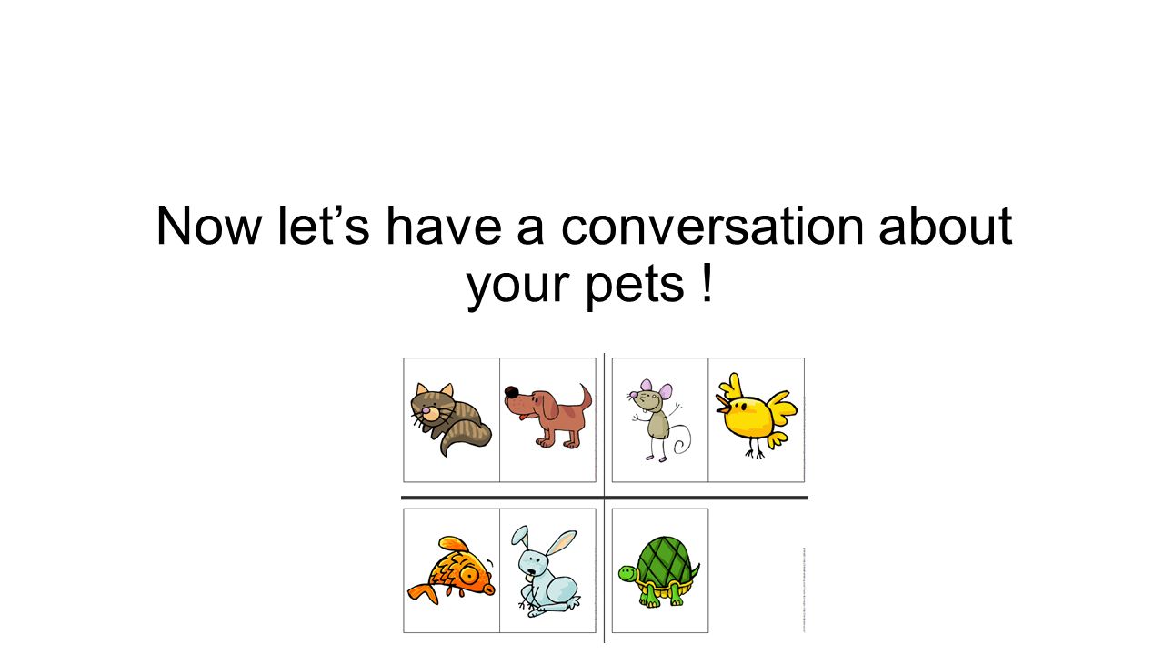Now let’s have a conversation about your pets !