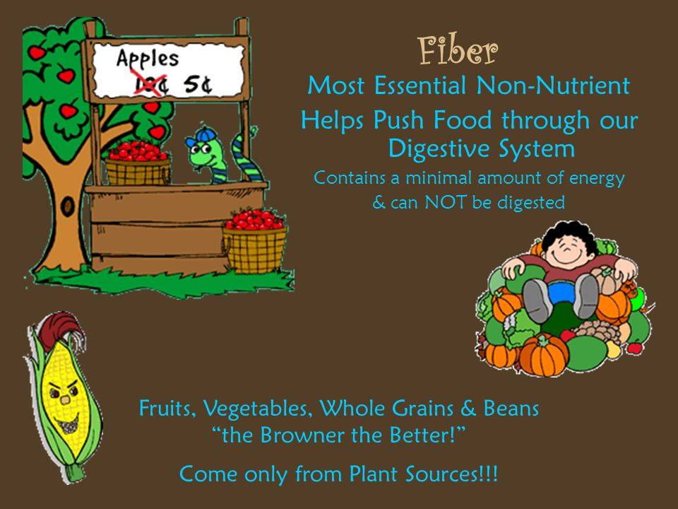 Fiber Most Essential Non-Nutrient