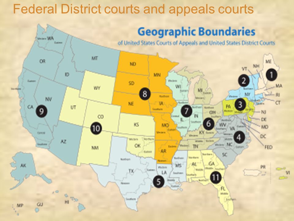 Federal District courts and appeals courts