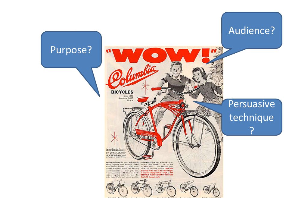 Audience Purpose Persuasive technique