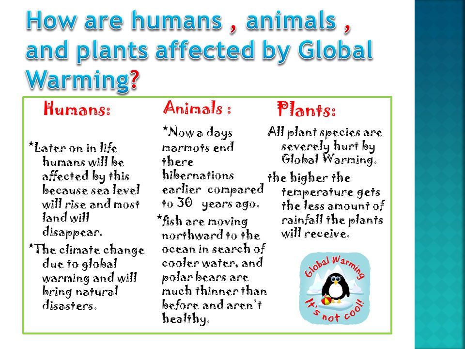 How are humans , animals , and plants affected by Global Warming