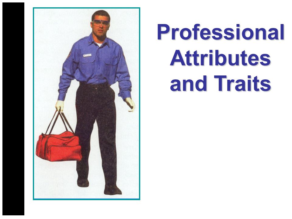 Professional Attributes and Traits