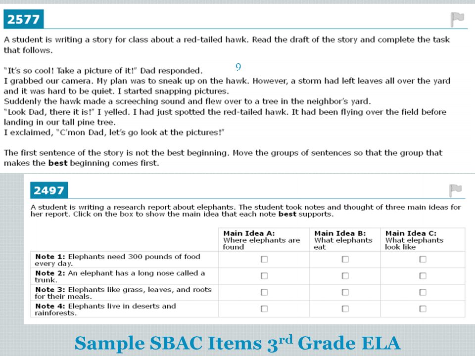 Sample SBAC Items 3rd Grade ELA