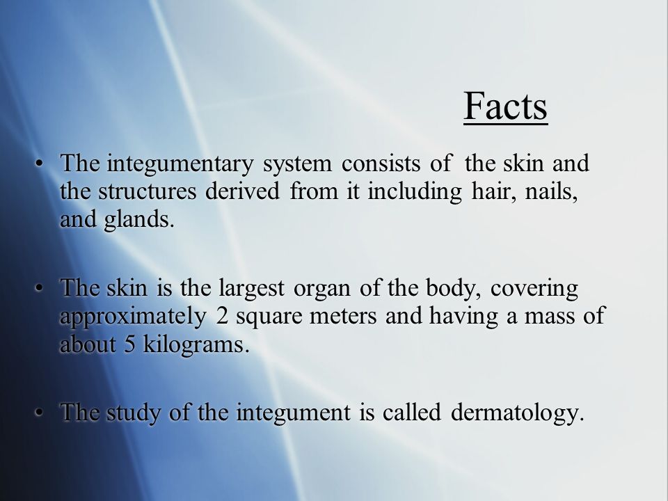 The study of the integument is called dermatology.