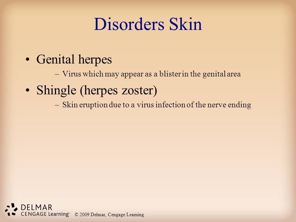 Disorders Skin Genital herpes Shingle (herpes zoster)