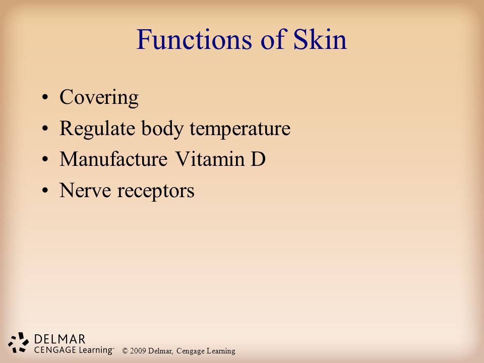 Functions of Skin Covering Regulate body temperature