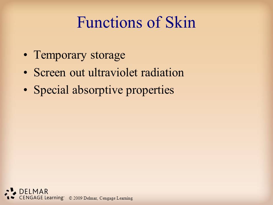 Functions of Skin Temporary storage Screen out ultraviolet radiation