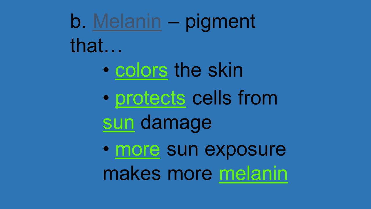 b. Melanin – pigment that…