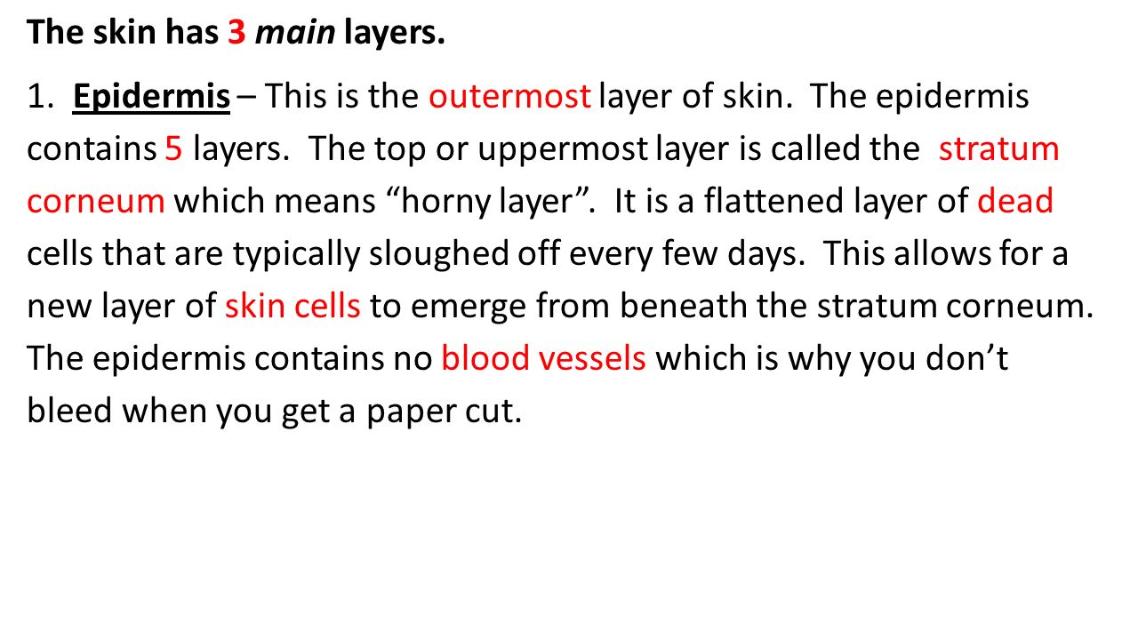 The skin has 3 main layers.