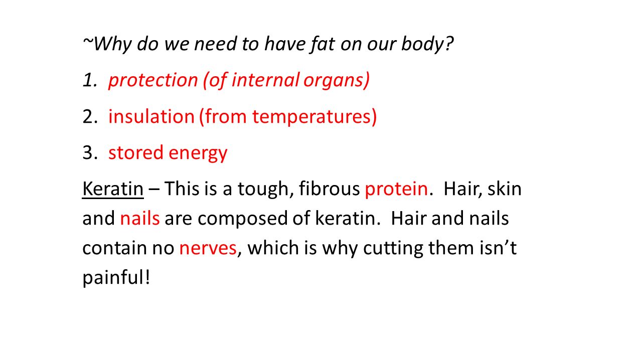 ~Why do we need to have fat on our body