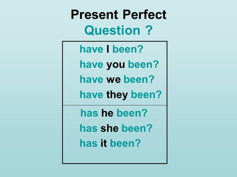 Present Perfect Question