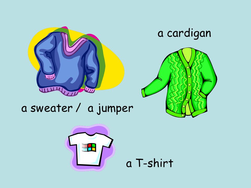 a cardigan a sweater / a jumper a T-shirt