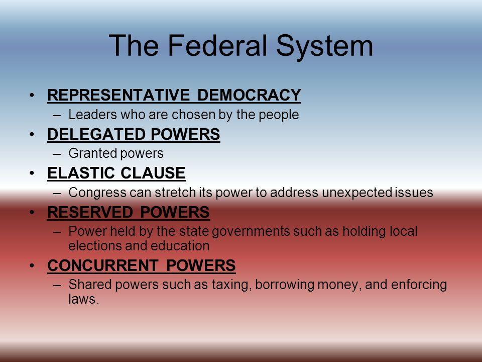The Federal System REPRESENTATIVE DEMOCRACY DELEGATED POWERS