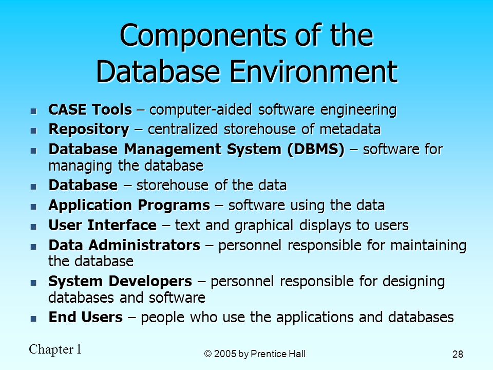 Components of the Database Environment