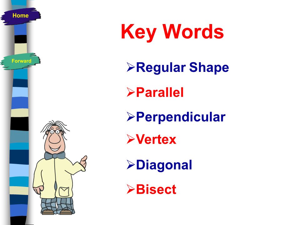 Key Words Regular Shape Parallel Perpendicular Vertex Diagonal Bisect