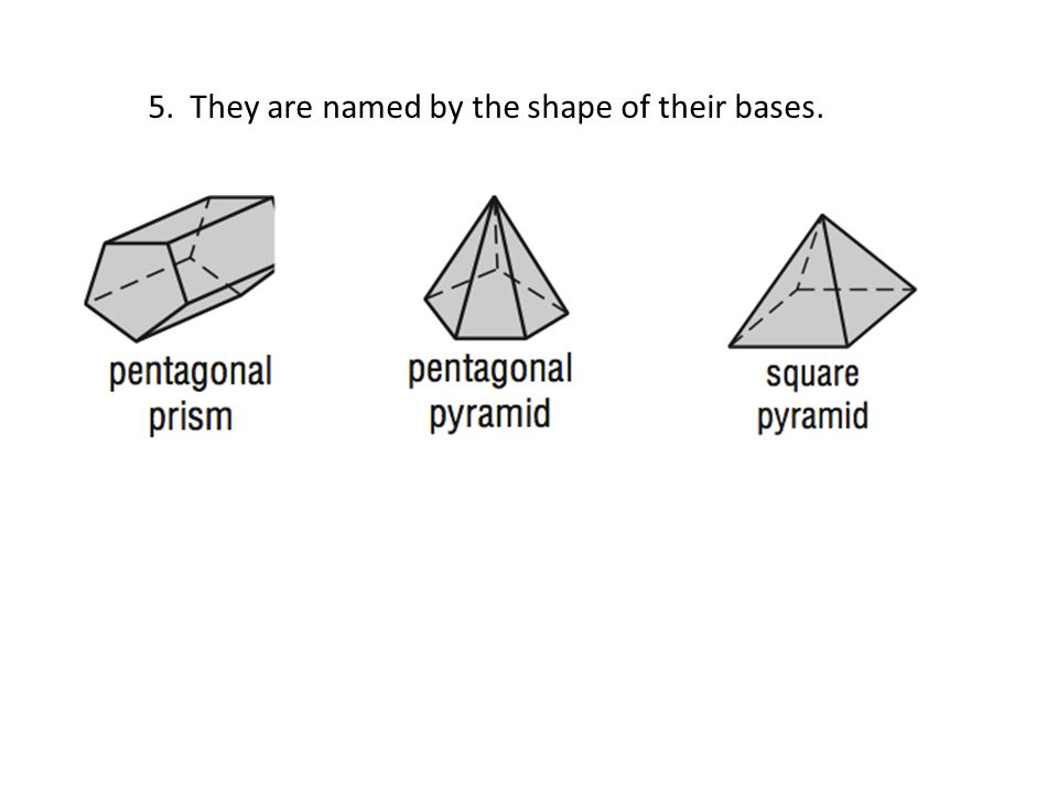 5. They are named by the shape of their bases.
